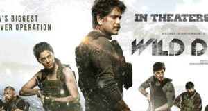 Wild Dog 1st Day Total World Wide Collections!