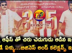 22 Years For Industry Hit Indra Movie