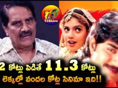 Pelli Sandadi 1996..Movie Budget and Total Collections