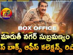 Maruthi Nagar Subramanyam 4 Days WW Collections