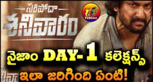 SARIPODHAA SANIVAARAM movie 1st Day Nizam Collections