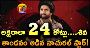 SARIPODHAA SANIVAARAM Movie 1st Day Gross Collections