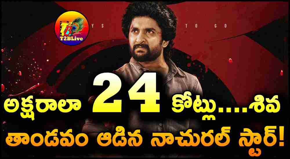 SARIPODHAA SANIVAARAM Movie 1st Day Gross Collections