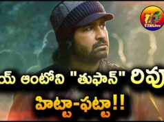 Vijay Antony Toofan Movie Telugu Dub Review and Rating