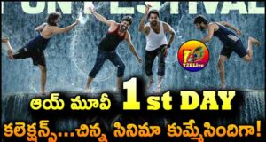 Aay Movie 1st Day Total WW Collections