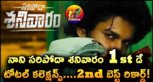 SARIPODHAA SANIVAARAM movie 1st Day WW Total Collections