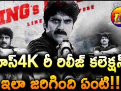 Nagarjuna Mass4K Re Release Box Office Collections