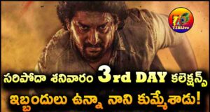 SARIPODHAA SANIVAARAM movie 3rd Day Box office Collections