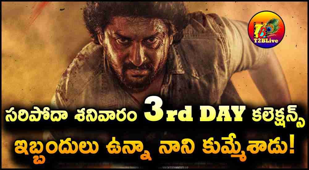 SARIPODHAA SANIVAARAM movie 3rd Day Box office Collections