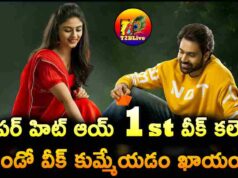 AAY Movie 1st Week Total WW Collections