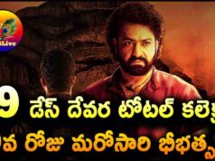 Jr NTR Devara Movie 19 Days Total WW Collections