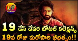 Jr NTR Devara Movie 19 Days Total WW Collections