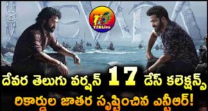 Devara 17 Days Telugu Version Total WW Collections