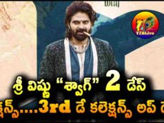 Sree vishnu Swag Movie 2 Days Total WW Collections