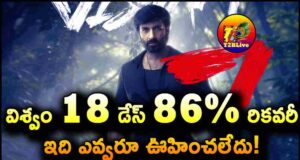 Gopichand Viswam Movie 18 Days Total WW Collections