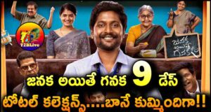 Janaka Aithe Ganaka Movie 9 Days Total WW Collections