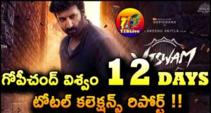 Gopichand Viswam Movie 12 Days Total Collections