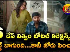 Gopichand Viswam Movie 6 Days Total WW Collections