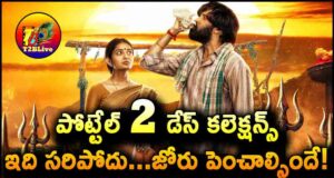 Pottel Movie 2 Days Total WW Collections