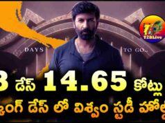 Gopichand Viswam Movie 13 Days Total WW Collections