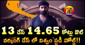 Gopichand Viswam Movie 13 Days Total WW Collections