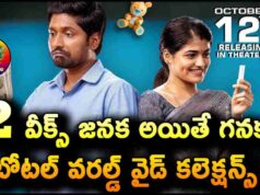 Suhas Janaka Aithe Ganaka 2 Weeks Total WW Collections