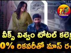 Gopichand Viswam Movie 2 Weeks Total WW Collections