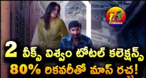 Gopichand Viswam Movie 2 Weeks Total WW Collections