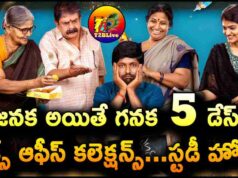 Janaka Aithe Ganaka Movie 5 Days Total WW Collections