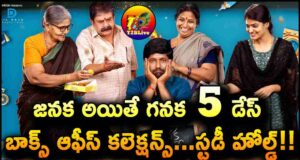 Janaka Aithe Ganaka Movie 5 Days Total WW Collections