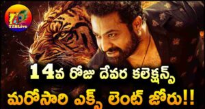 Jr NTR Devara 14th Day Box Office Collections Update