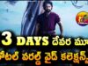 Jr NTR Devara Movie 33 Days Total WW Collections