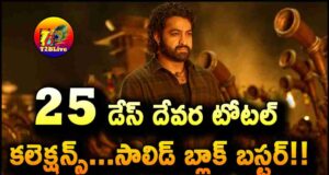 Devara Movie 25 Days Total WW Collections