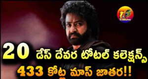 JR NTR Devara Movie 20 Days Total WW Collections