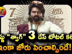 Sree Vishnu Swag Movie 3 days Total WW Collections