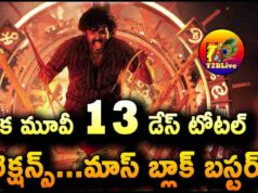 Kiran Abbavaram 13 Days Total WW Collections