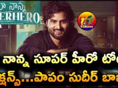 Sudheer Babu Maa Nanna Super Hero Total WW Collections