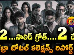 Satyadev Zebra Movie 2 Days WW Total Collections