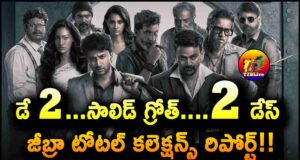 Satyadev Zebra Movie 2 Days WW Total Collections