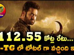 Jr NTR Devara Movie Telugu States Total Collections