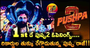 Pushpa2 Movie 1st Day Box Office Collections Openings